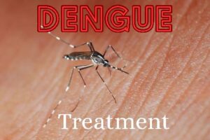 dengue_treatment_fever