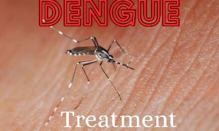 Dengue Cases Surge Globally by 10% Warns World Health Organization (WHO)